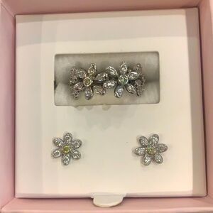 Silver Daisy Ring & Earrings